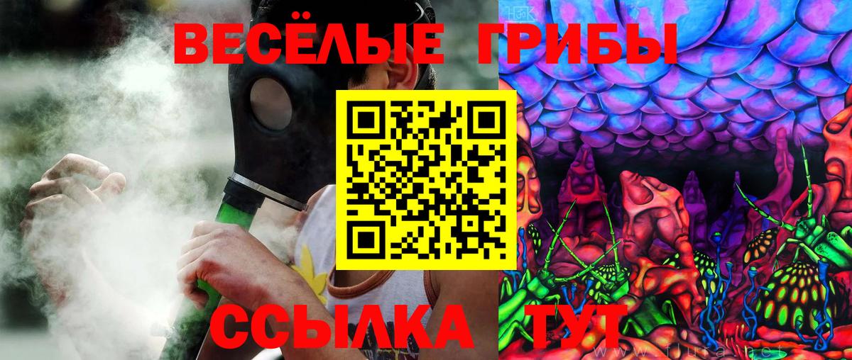 Псилоцибиновые грибы Psilocybe Саяногорск